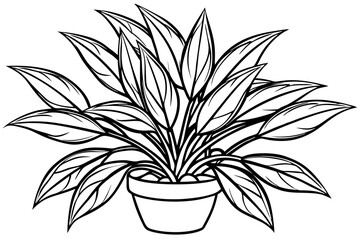 Botanical Art Vector Design