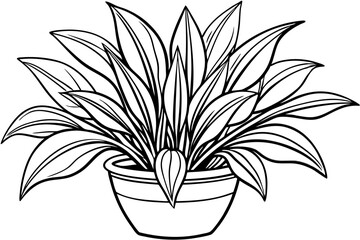 Botanical Art Vector Design