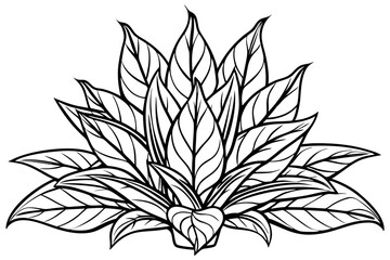 Botanical Art Vector Design
