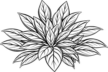 Botanical Art Vector Design