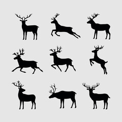 Fototapeta premium the deer vector silhouette