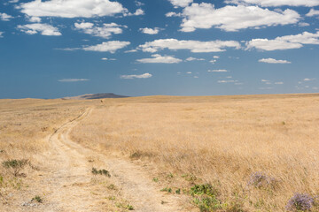 The road to the steppe and the blue sky with clouds