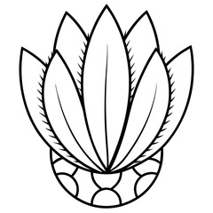 Euphorbia Obesa Baseball Plant Vector line Art