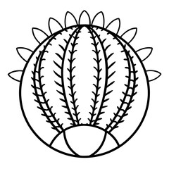 Euphorbia Obesa Baseball Plant Vector line Art