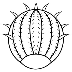 Euphorbia Obesa Baseball Plant Vector line Art