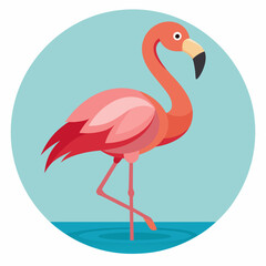 Fototapeta premium Pink Flamingo Standing in Blue Water