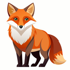 Fototapeta premium A Standing Red Fox with Green Eyes and a Bushy Tail