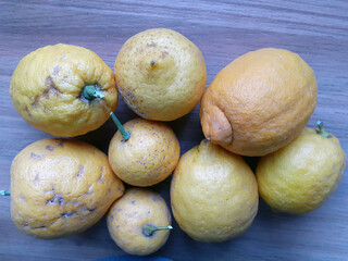 Cagliari, Sardinia, Italy, April 11, 2024. A few Sardinian thick-skinned lemons. In this variety,...
