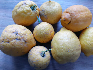 Cagliari, Sardinia, Italy, April 11, 2024. A few Sardinian thick-skinned lemons. In this variety,...