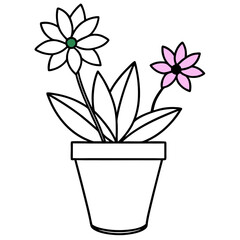 Flowering Potted Plant line art Vector on White Background