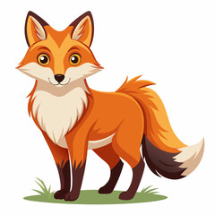 Obraz premium A Smiling Red Fox Standing on Green Grass