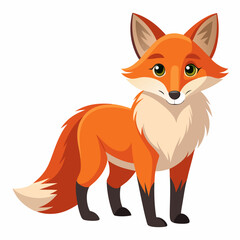 Fototapeta premium A Cartoon Red Fox Standing on a White Background