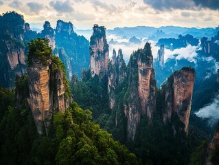 A view of a mountain range covered in trees and clouds