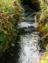 River on the mountain
