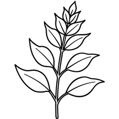 Herbal Plant Art Vector Design