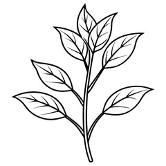 Herbal Plant Art Vector Design