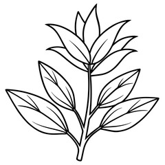 Herbal Plant Art Vector Design