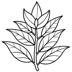 Herbal Plant Art Vector Design