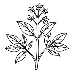 Herbal Plant Art Vector Design