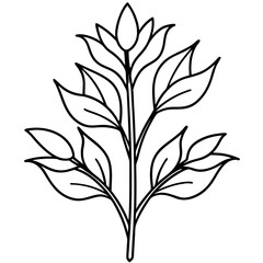 Herbal Plant Art Vector Design