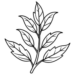 Herbal Plant Art Vector Design