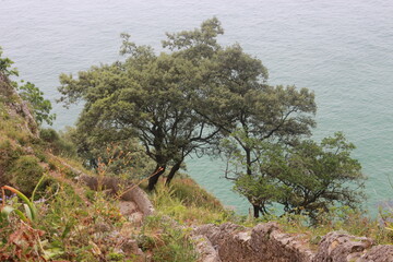 faro de santoña