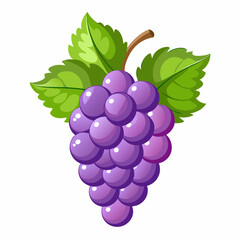 A Bunch of Purple Grapes with Green Leaves