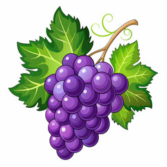 A Bunch of Purple Grapes with Green Leaves and a Vine