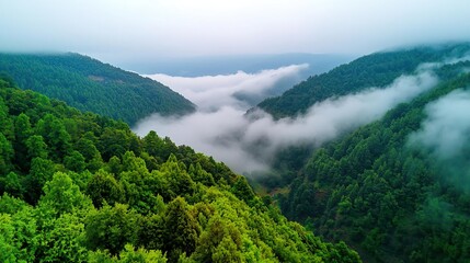 Misty mountain range with green slopes and cloudy sky.