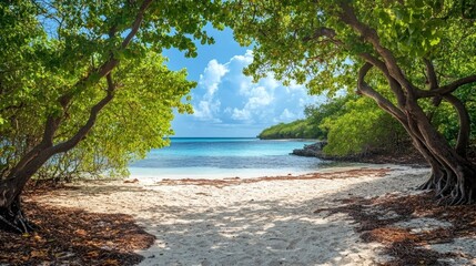 Curacao island views: mangroves, beach