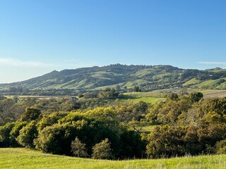 Naklejka premium Sonoma County Regional Parks, California