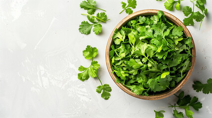 Obraz premium coriander leaves in bowl, top view, white background png, space for copy, flat lay