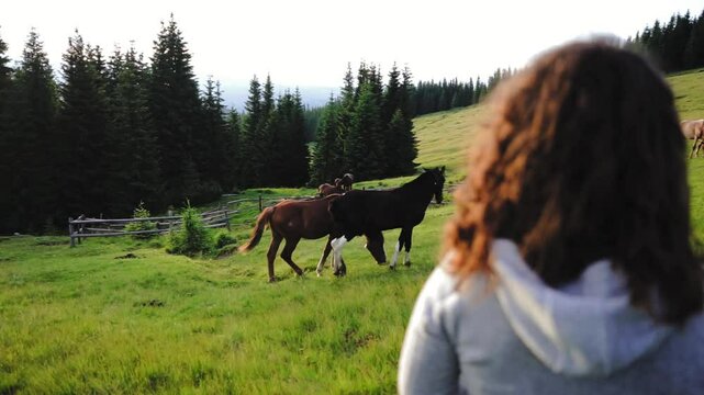 girl on the background of horses in the mountains, hippotherapy, herd, animals in nature

