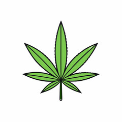 Marijuana Leaf Vector Art on White Background