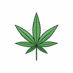 Marijuana Leaf Vector Art on White Background