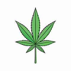 Marijuana Leaf Vector Art on White Background
