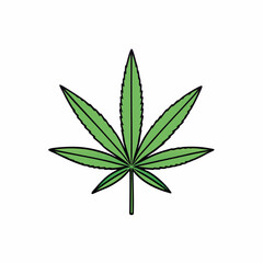 Marijuana Leaf Vector Art on White Background