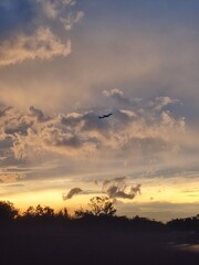 Aircraft