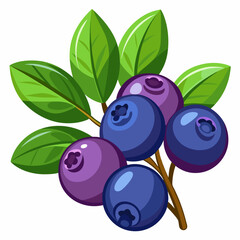 Blueberries on a Branch with Green Leaves