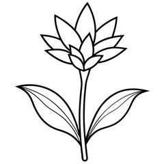 Minimalist Flower line art on White Background - Vector Art