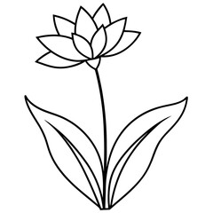 Minimalist Flower line art on White Background - Vector Art