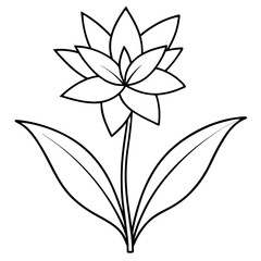 Minimalist Flower line art on White Background - Vector Art