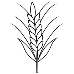 Minimalist Wheat Plant Vector online art White Background