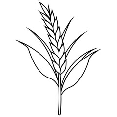 Minimalist Wheat Plant Vector online art White Background