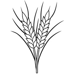 Minimalist Wheat Plant Vector online art White Background