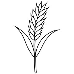 Minimalist Wheat Plant Vector online art White Background