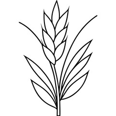 Minimalist Wheat Plant Vector online art White Background