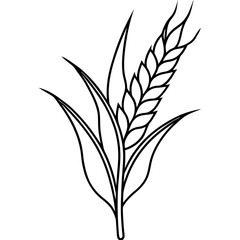 Minimalist Wheat Plant Vector online art White Background