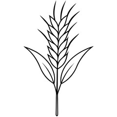 Minimalist Wheat Plant Vector online art White Background