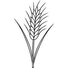 Minimalist Wheat Plant Vector online art White Background